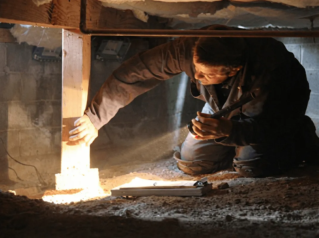 A professional inspecting wooden beams under the floor of a structure in Overland Park, KS